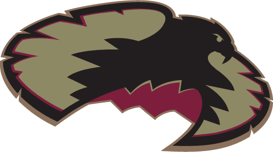 Denver Pioneers 1999-2006 Secondary Logo diy iron on heat transfer